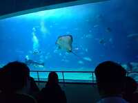 https://images.plurk.com/qmEXt8GdoNTqfQkM4q020.jpg