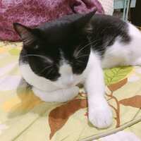 https://images.plurk.com/qoAx0MqpNFqnr1EUoGqNP.jpg