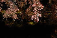 https://images.plurk.com/qoFP8sJq1x4ch5it4wHBu.jpg