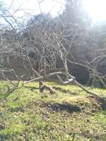 https://images.plurk.com/r0ws3b3XnWFt77htOwNEy.jpg