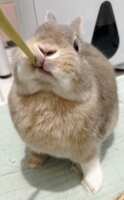 https://images.plurk.com/r7pg5vfadqMIgeRht5wrE.png