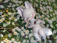 https://images.plurk.com/rI7kcNXql35xKJZo0qtgJ.jpg