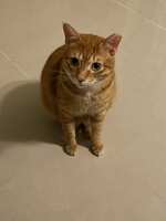 https://images.plurk.com/rM5Y5FSuajy46lXEW92sx.jpg