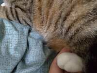 https://images.plurk.com/rVXasPmfvVYDOWdlyRTp2.jpg