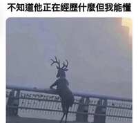 https://images.plurk.com/rghBGwKcYDnmfalo9SjaJ.jpg