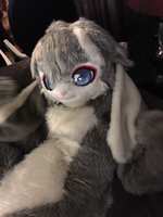 https://images.plurk.com/rkD2pnyDOwEPivjLguxO1.jpg