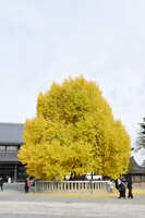 https://images.plurk.com/rkOFpkrGFq8MKjXsC7g59.jpg