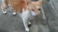 https://images.plurk.com/rqzcC4l87nQhEIS4ZaVkv.jpg