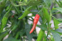 https://images.plurk.com/rrQM78KsE78pkE5YxhDxu.jpg