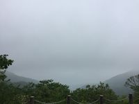 https://images.plurk.com/s2T95Q0PbuvnE95cBYyY.jpg
