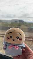 https://images.plurk.com/s7Iu7FXoiwurxT4LDzWCf.jpg