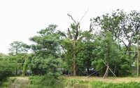 https://images.plurk.com/s7oVIlTeiyOcbhDtOrQat.jpg