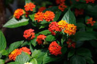 https://images.plurk.com/s90P3ovm71HtbjLQBWb9p.jpg