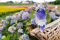 https://images.plurk.com/sCmvrN1dy96GtBrkpKGSa.jpg