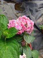 https://images.plurk.com/sF89ClcNS4jEA0XW3FdC.jpg
