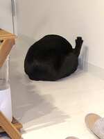 https://images.plurk.com/sHHd9AyUkzBbb3Ub1JOBe.jpg