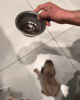 https://images.plurk.com/sNVZ1Vweg0o4kB4Bfnfk.gif