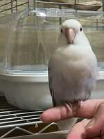 https://images.plurk.com/sTdMXe0gtguTC0Pebc3vj.jpg