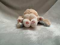 https://images.plurk.com/srxdfUF0FPmtuEpf9tbn4.jpg