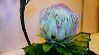 https://images.plurk.com/sx63jxq1jkzsVPs9OgtG3.jpg