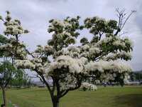 https://images.plurk.com/sxktD4V2zbiV6NcAfNWPJ.jpg