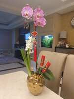 https://images.plurk.com/t2WmStM08taUOrThuy0EE.jpg