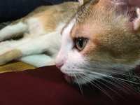 https://images.plurk.com/tD9OYyvy7vDqBoyMxYQ6t.jpg