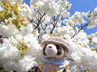 https://images.plurk.com/tO8RS6qucmAjP2Jl4Eynz.jpg