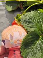 https://images.plurk.com/tOCcHNBWc9mVGntxJfcqZ.jpg