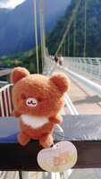 https://images.plurk.com/tSPlbPX6TstdP6pH4f0Db.jpg