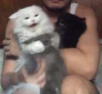 https://images.plurk.com/tWaQiD2QUcE3oU6rPgsEz.jpg