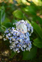 https://images.plurk.com/tsWlkCEMXXXY0Jr0RM5Ic.jpg