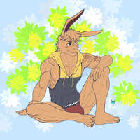 https://images.plurk.com/u0FIUyHqDcEqeIheEDzyF.jpg