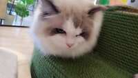 https://images.plurk.com/u0G1fvOQtO3Tefu2GpGO0.jpg