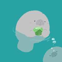 https://images.plurk.com/u4b2hU7hWTytYsCa36bVt.jpg