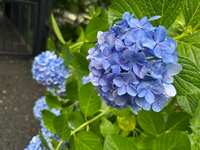 https://images.plurk.com/u4lRxpshgeuVmUAlgR4qU.jpg