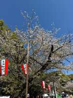 https://images.plurk.com/u5NiDbrf8TrSFuVtbJUP0.jpg
