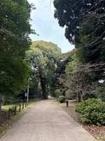 https://images.plurk.com/u927Eg8NBWU8JYnnNBpkP.jpg