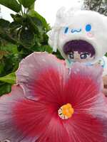 https://images.plurk.com/uBCNCOKtx9WdA7cIwFg8u.jpg