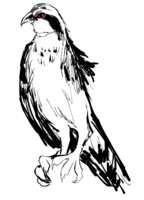 https://images.plurk.com/uHxYs1NwuhCse3JKLf1Cl.png