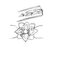 https://images.plurk.com/uHz1QyYDh2FvnQglTeA89.jpg