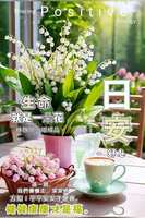 https://images.plurk.com/uPT74W9bcHfD2Yn3zvJbl.jpg