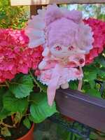 https://images.plurk.com/uQoD4X1cvySyCBP1MlTx.jpg