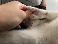 https://images.plurk.com/uRoH0aj964TYIggOtr8KP.jpg