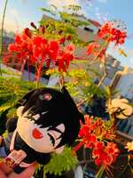 https://images.plurk.com/uht5cdjtyl4WRhWPL3kUN.jpg