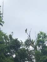 https://images.plurk.com/ukm4U1LX4dHRNdHvH4APi.jpg