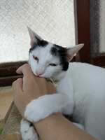 https://images.plurk.com/uwfnZob74ZVHspuG1D3rH.jpg