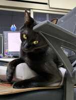 https://images.plurk.com/v400xbcdHkpSfiKuB7qVV.jpg