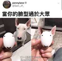 https://images.plurk.com/vAaGYYybIWYShwDyD97MG.jpg