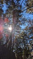 https://images.plurk.com/vDxIQIfJW4R6B5eag6Ybs.jpg